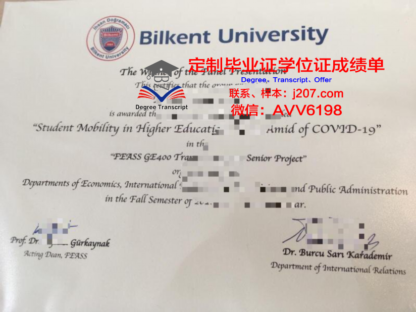 阿利坎特大学拿不了毕业证(阿利坎特国际学校排名)