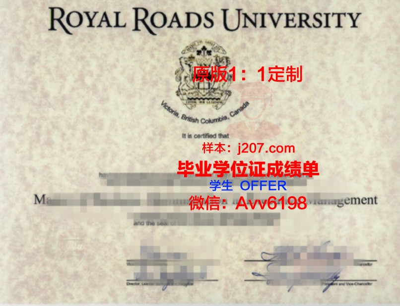 高布林图像学院学位证书