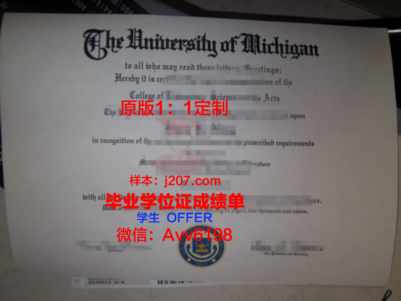 毛里求斯大学毕业证图片(毛里求斯住宿)