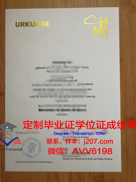 汉堡品牌应用技术大学硕士毕业证书样本(汉堡应用技术大学排名)