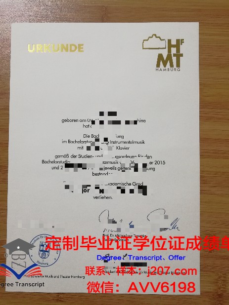 汉堡大学毕业证成绩单(汉堡大学好毕业吗)