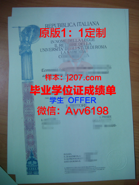 罗马大学毕业证图片样本(罗马大学毕业证图片样本高清)