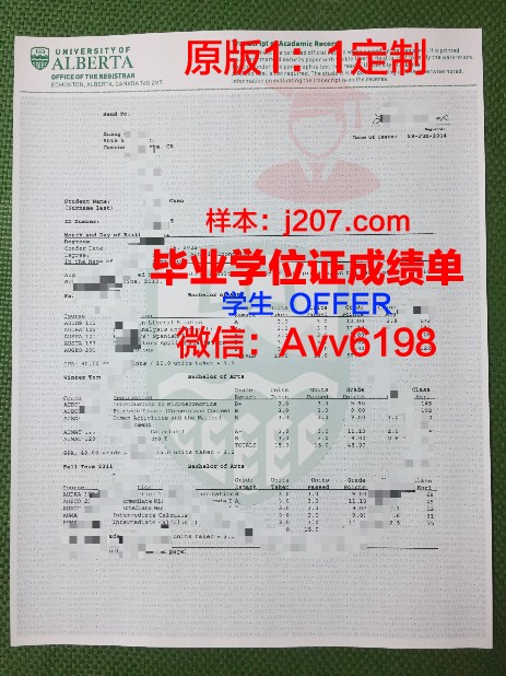 阿尔松别墅尼斯国立高等艺术学院硕士毕业证的重量与价值