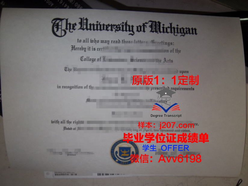 汉堡造型艺术学院毕业证电子版(汉堡大学毕业证)