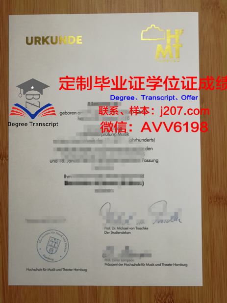 汉堡应用技术大学毕业证学位证(汉堡国际工程学院)