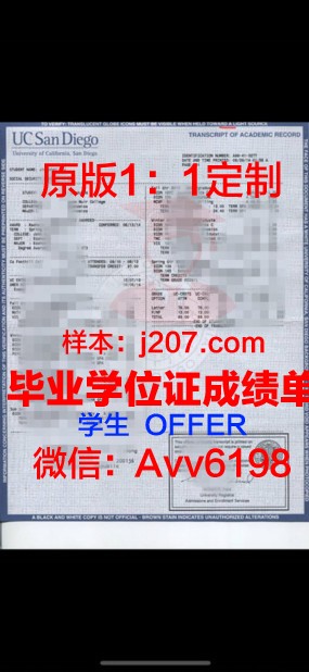罗术成绩单：揭示个体成长轨迹的神奇手册