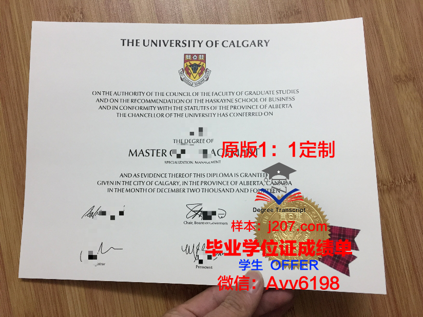 沙希德佐勒菲卡尔·阿里·布托科技学院毕业证样本