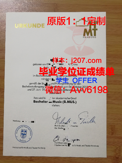 汉堡大学毕业证案例(汉堡大学好毕业吗)