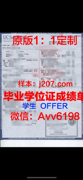 沃尔姆斯应用技术大学成绩单：国际化教育的典范