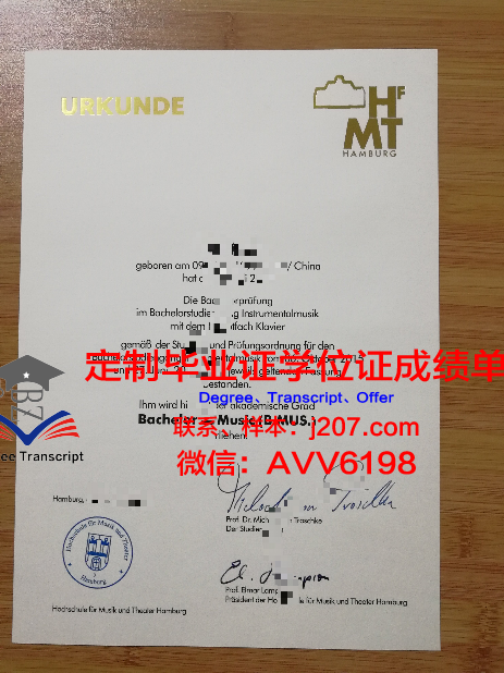 汉堡造型艺术学院毕业证翻译(汉堡大学艺术学院)