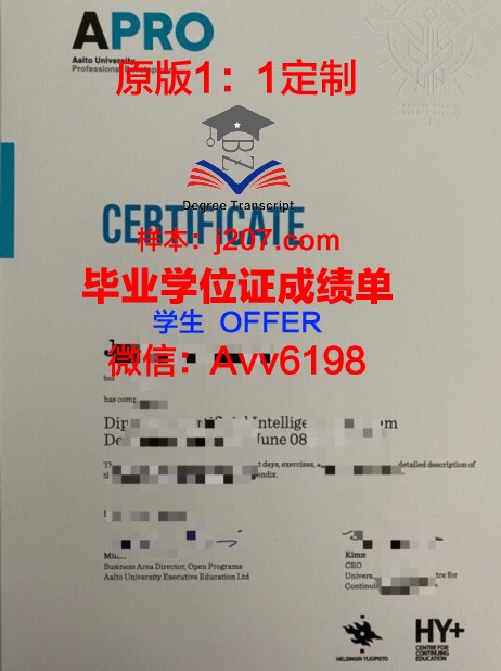 阿尔托大学毕业文凭