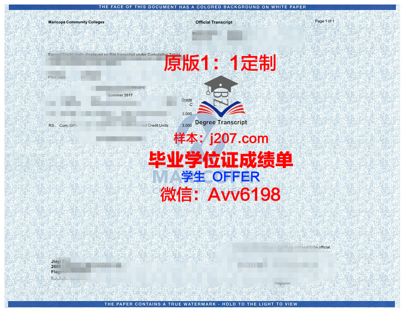 马里乌波尔国立人文大学本科毕业证：跨越国界的学术荣耀