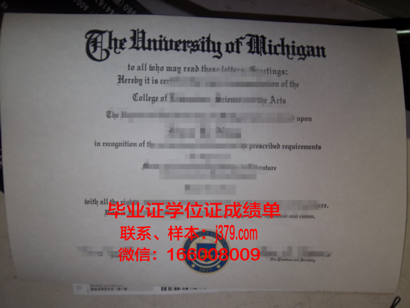 巴萨大学毕业证成绩单：一张纸的重量与价值