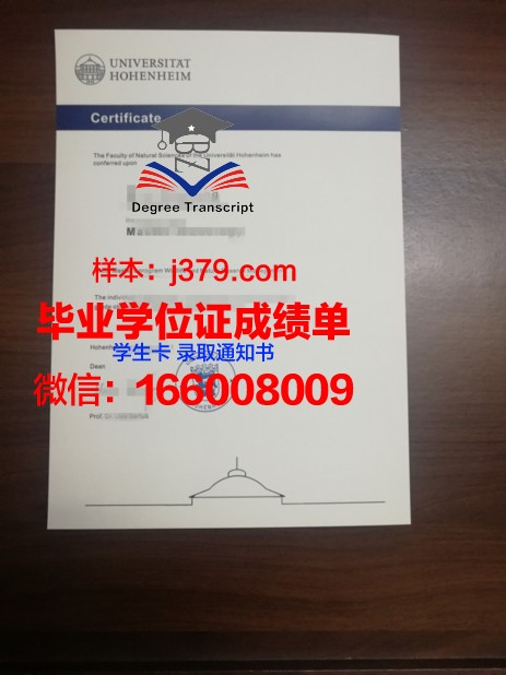 盖森海姆应用技术大学硕士毕业证书样本