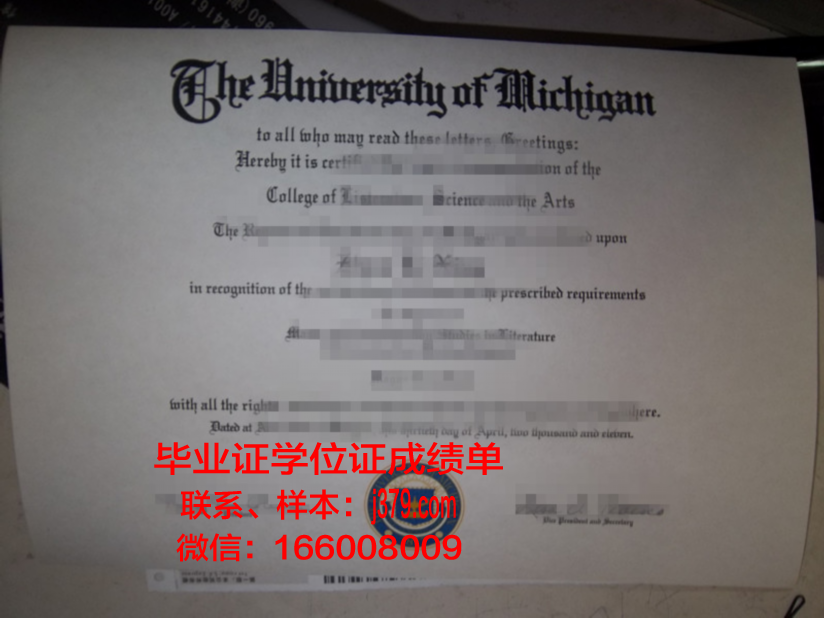 巴比什-波雅依大学硕士毕业证：一份跨越国界的荣誉