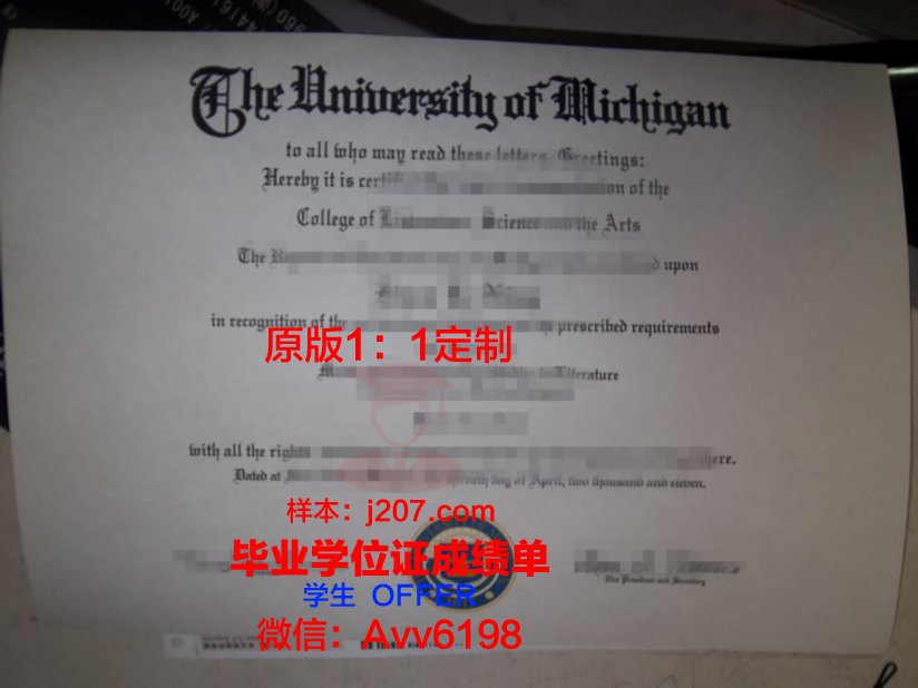 马莱文学院毕业证