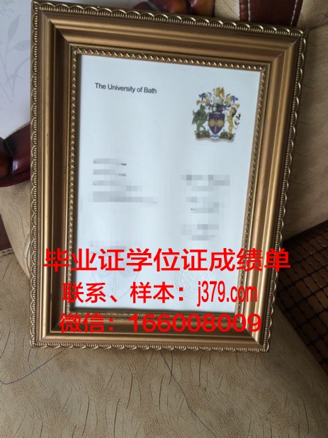 巴斯大学diploma证书(巴斯大学本科专业有哪些)