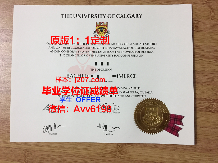 沙希德佐勒菲卡尔·阿里·布托科技学院毕业证高清图