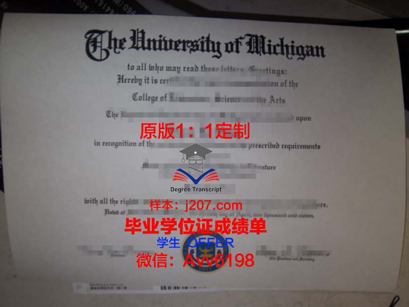 美利坚大学毕业证真伪(美国毕业证电子版)