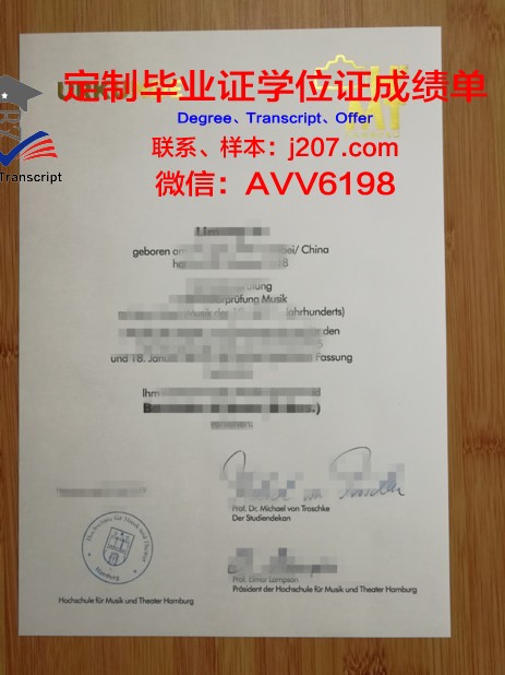 汉堡音乐与戏剧学院毕业证书什么颜色(德国汉堡音乐学院是公立的还是私立的)