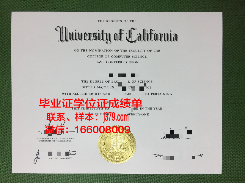 碧差汶皇家大学本科毕业证 Phetchabun Rajabhat University diploma