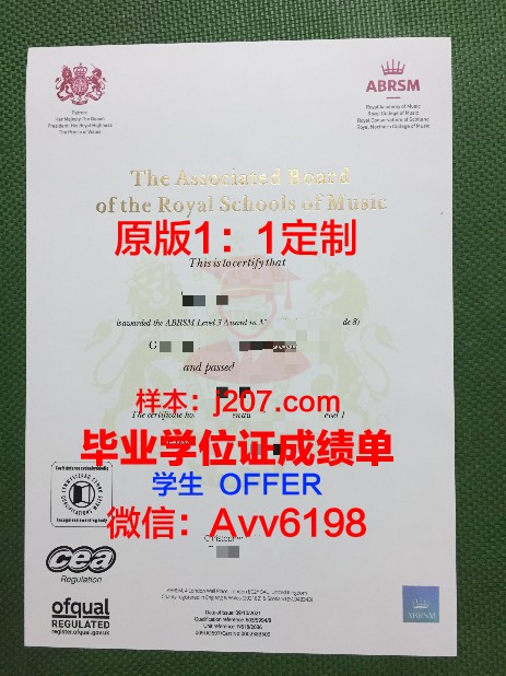 罗斯托夫国立经济大学毕业证什么样子(罗斯托夫国立音乐学院官网)