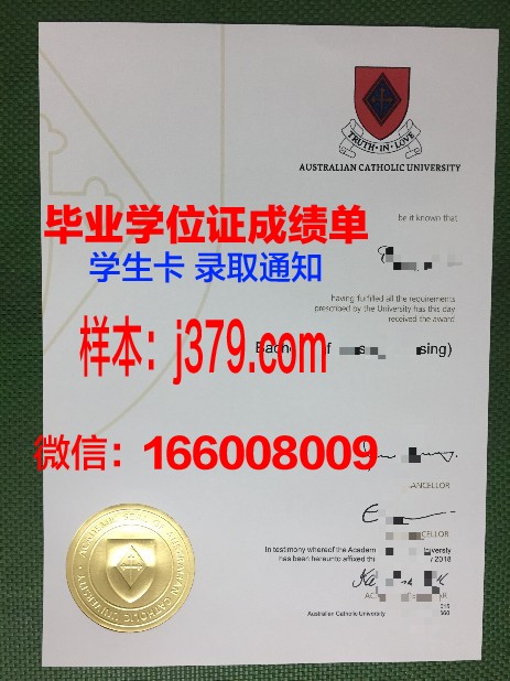 巴拉那天主教大学成绩单