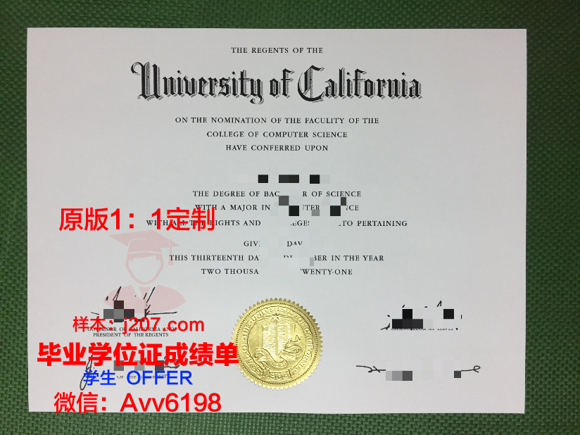 美利坚大学毕业证真伪(美国毕业证电子版)