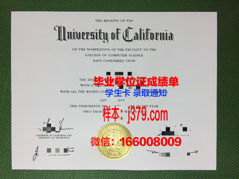 巴拉西达萨恩大学毕业证：一份跨越国界的荣誉证书