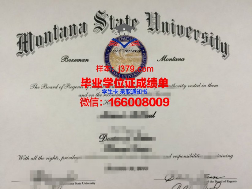 巴西利亚大学博士毕业证书(巴西博士读几年)