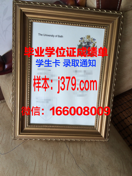 巴斯大学成绩单图片(巴斯大学什么水平)