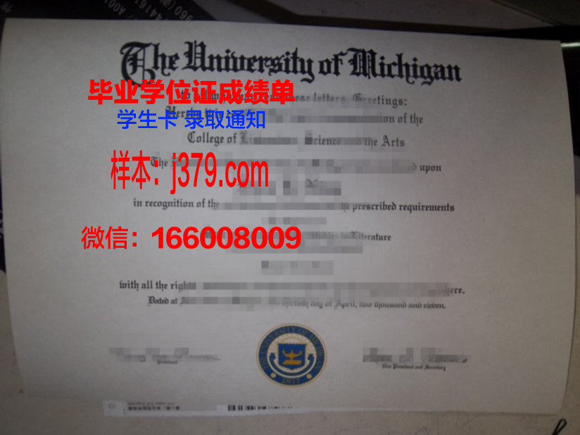 巴格达大学硕士毕业证：跨越文化与学术的桥梁