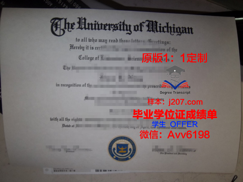 高中毕业证编号咋填写(高中毕业证编号啥意思)