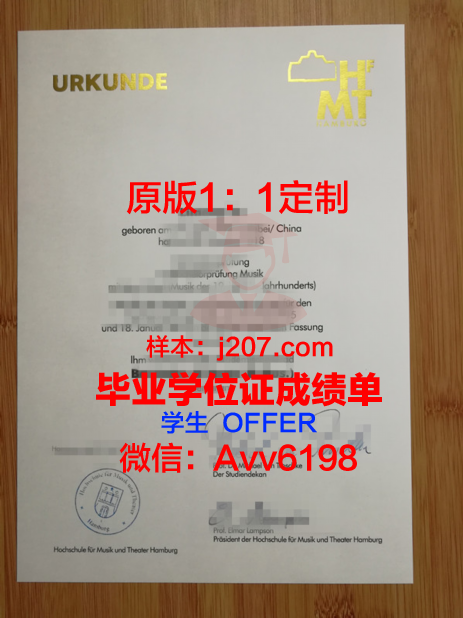 汉堡音乐与戏剧学院毕业证(汉堡国际音乐学院怎样)