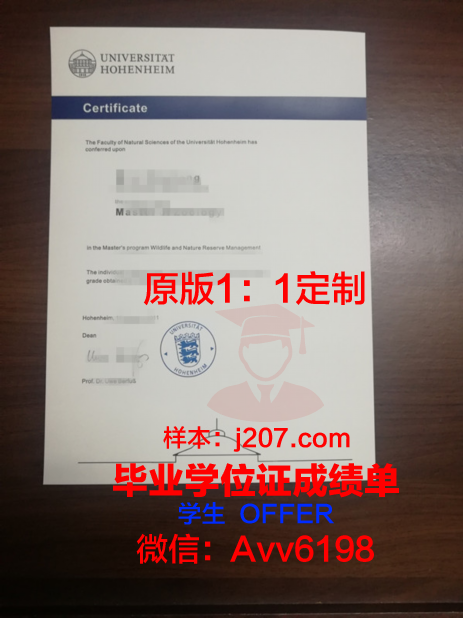罗森海姆应用技术大学毕业证书原件