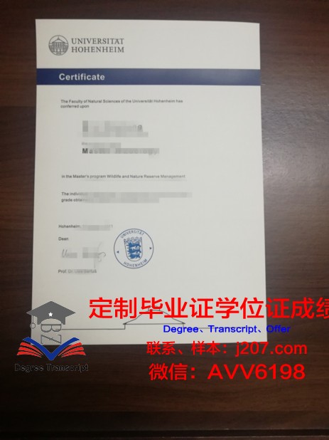 罗森海姆应用技术大学毕业证书原件