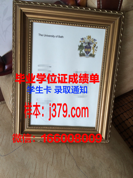 巴斯思巴大学毕业证学位证(巴斯斯巴大学商学院)
