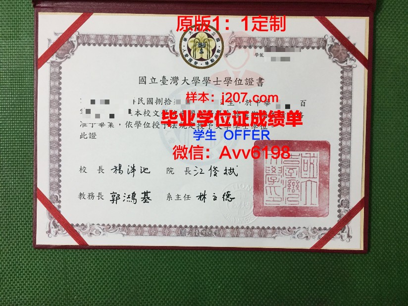 罗斯托夫国立经济大学博士毕业证(罗斯托夫国立建筑与艺术学院)