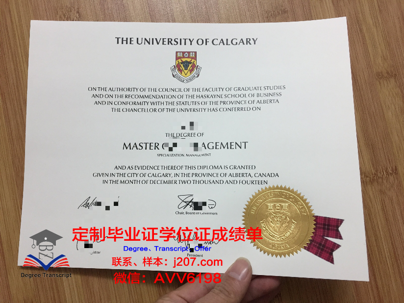 沙希德佐勒菲卡尔·阿里·布托科技学院毕业证高清图
