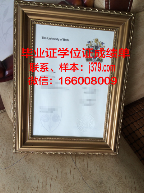 巴斯泉大学毕业证电子版