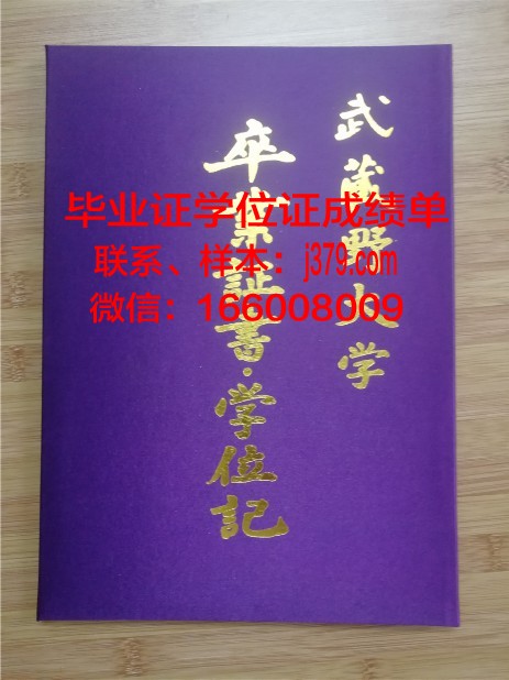 巴斯克大学毕业证壳子(巴斯克大学学费)