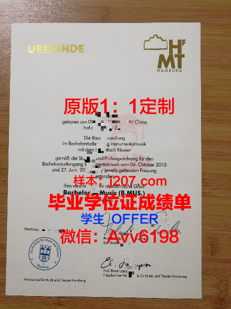 汉堡大学毕业证是什么模样(汉堡大学怎么样)