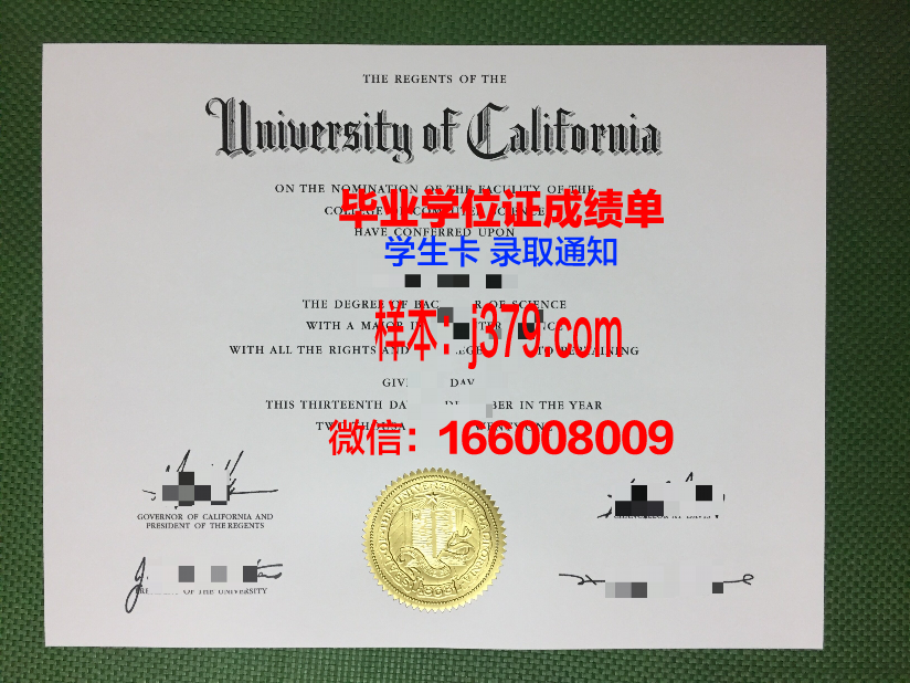 秋田大学硕士毕业证：跨越重洋的学术荣耀