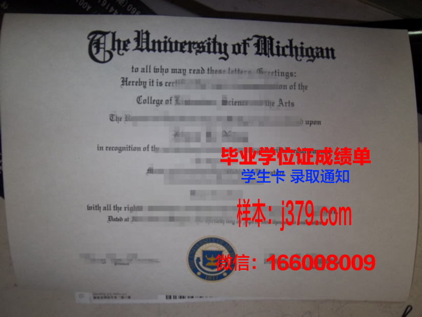 巴西利亚大学本科毕业证：一份跨足国际舞台的通行证