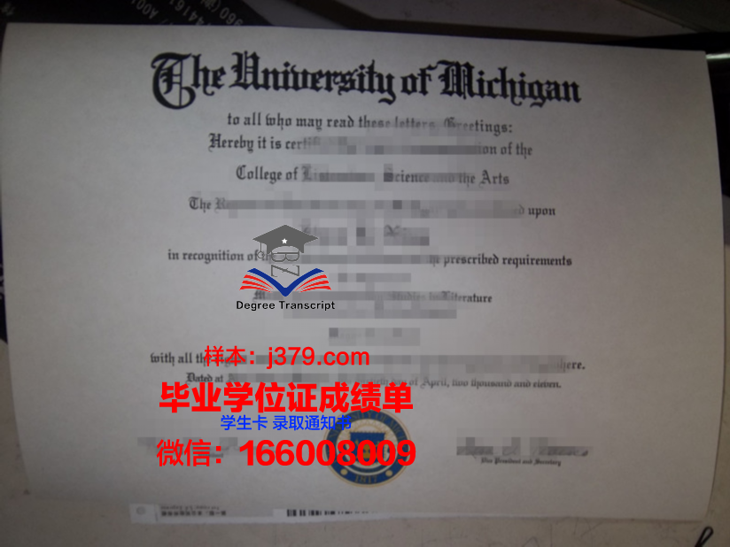 马赛大学毕业证外壳(毕业证要打马赛克嘛)