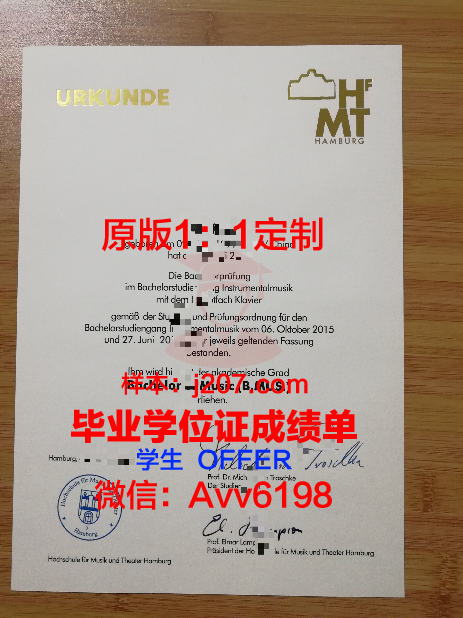 汉堡大学毕业证(汉堡大学bwl)