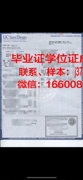 科博大成绩单：科技创新的璀璨画卷