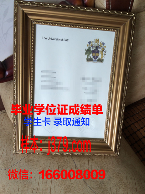 巴斯大学diploma证书(巴斯大学本科专业有哪些)