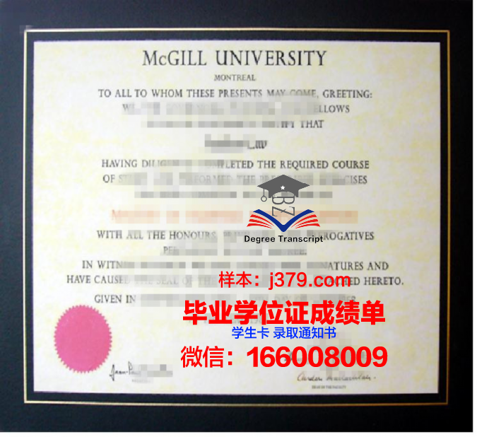 硕士学位毕业证书:知识的印记与人生的里程碑