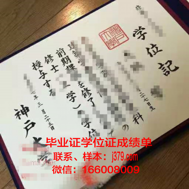 神户商科大学毕业证案例(神户商学院)